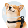 FourPaw pressure-free neck illustration