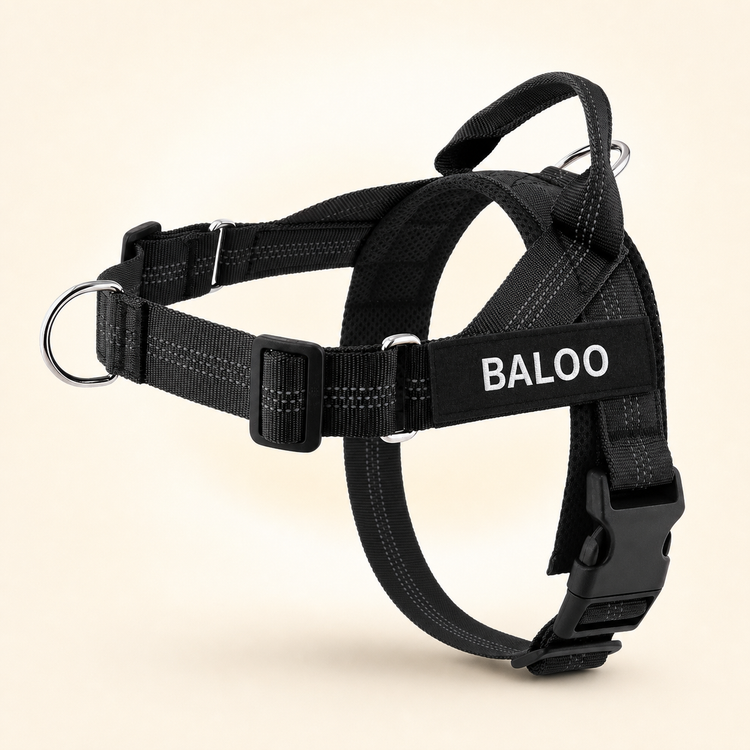 Black SafeWalk No-Pull 2.0 harness with BALOO name patch