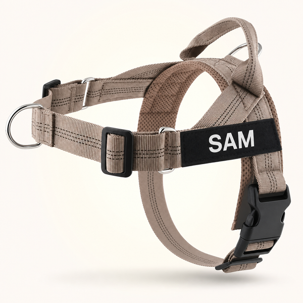 Beige SafeWalk No-Pull 2.0 harness with SAM name patch on a warm ivory background