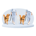 FourPaw front and back leash connection walking illustration