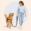 FourPaw front-connection walking illustration