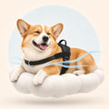 FourPaw padded comfort illustration