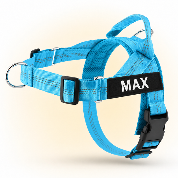 Sky-blue SafeWalk No-Pull 2.0 harness with MAX name patch on a warm ivory background