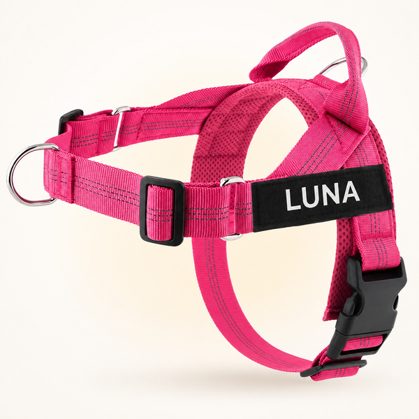 Pink SafeWalk No-Pull 2.0 harness with LUNA name patch on a warm ivory background