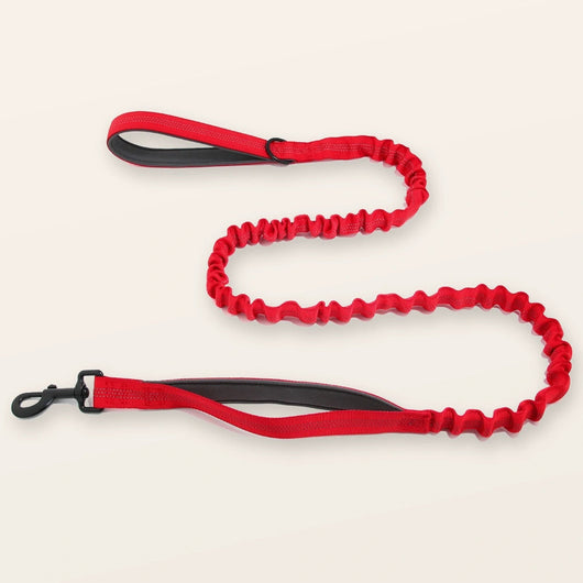 SafeWalk shock-absorbing bungee leash - Red