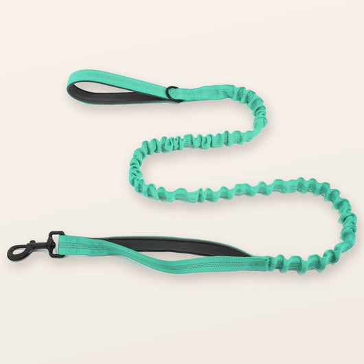 SafeWalk shock-absorbing bungee leash - Aqua