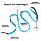 Aqua SafeWalk bungee leash showing shock absorber, padded handle, D-ring, reflective strap, and clip