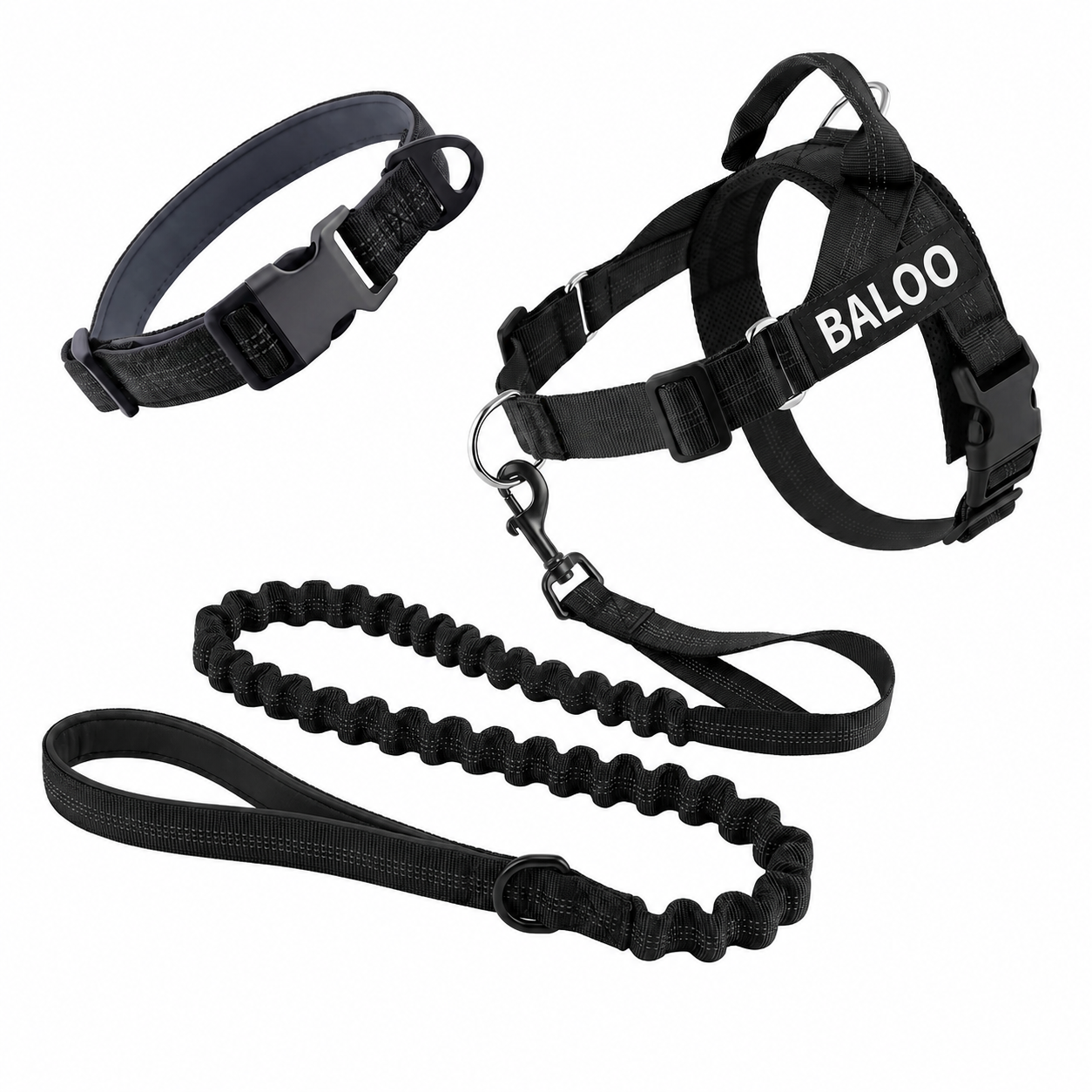 Black SafeWalk harness, padded collar and bungee leash with a BALOO name tag