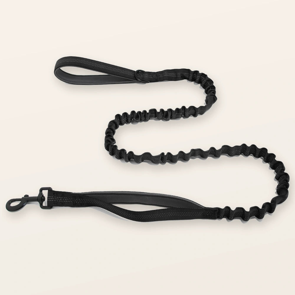 Black SafeWalk shock-absorbing bungee leash