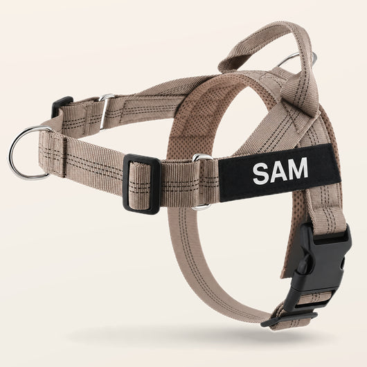 Beige SafeWalk No-Pull 2.0 harness with SAM name patch on a warm ivory background