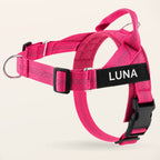 Pink SafeWalk No-Pull 2.0 harness with LUNA name patch on a warm ivory background