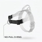 SafeWalk No-Pull D-ring feature illustration