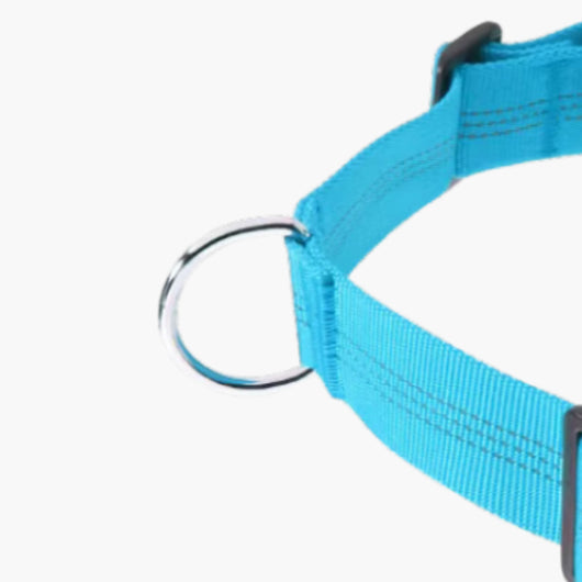 Aqua SafeWalk harness front D-ring and stitched webbing close-up