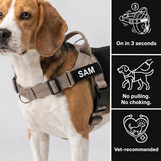 SafeWalk No-Pull 2.0 harness benefits with SAM name patch